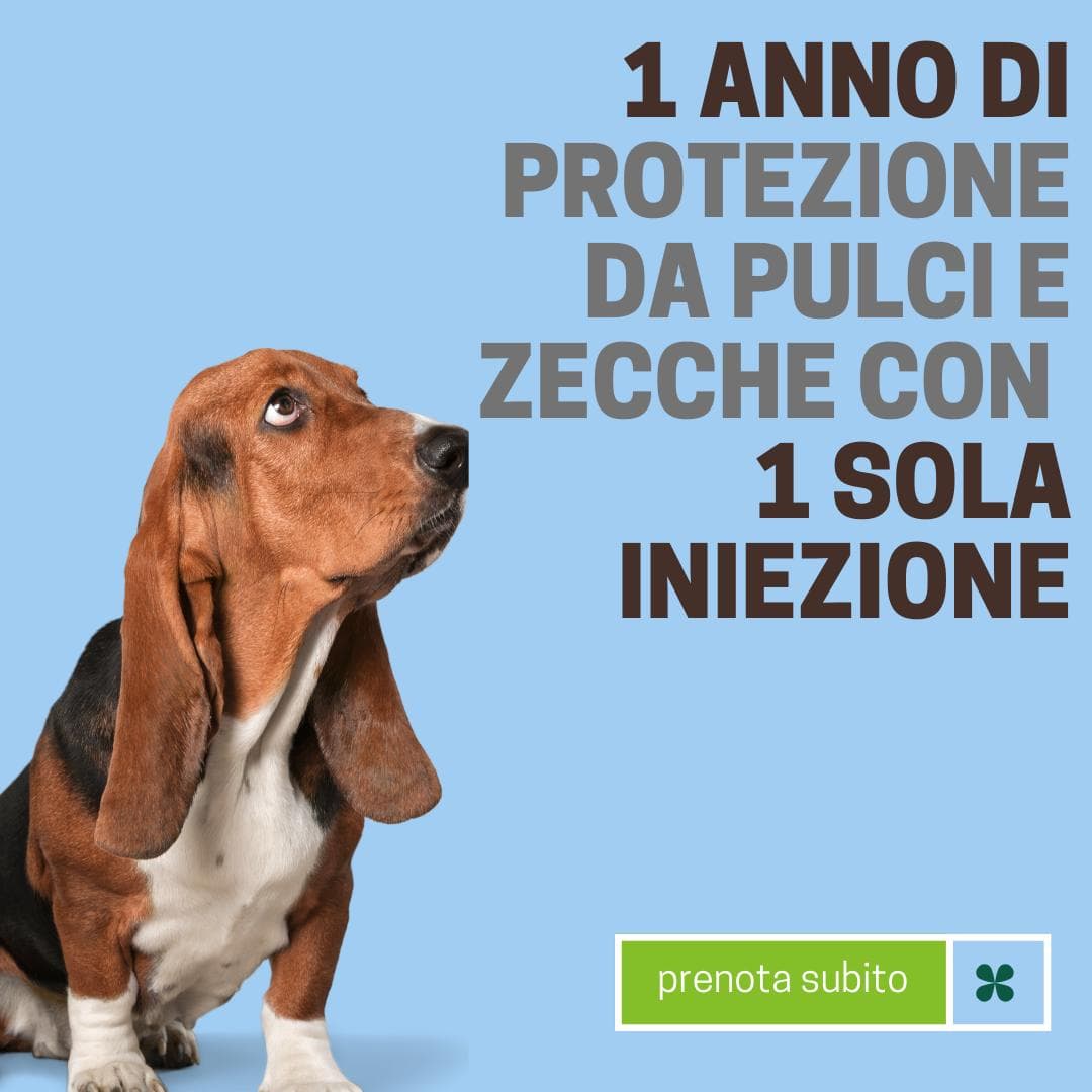 Novità: prevenzione parassiti per un anno intero