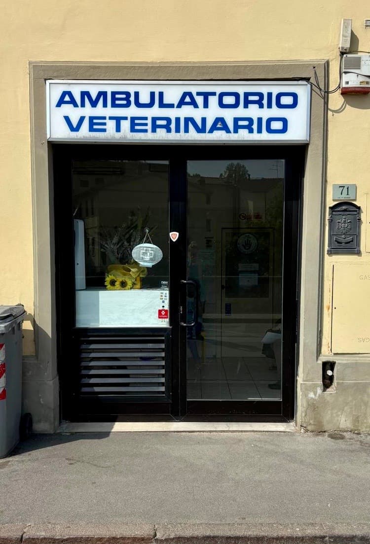 La Struttura