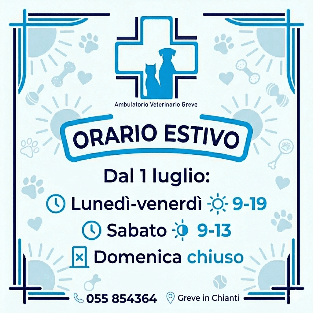 Orario estivo 2026